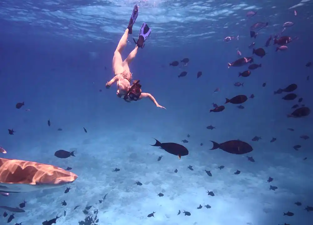 Snorkelen op de Malediven